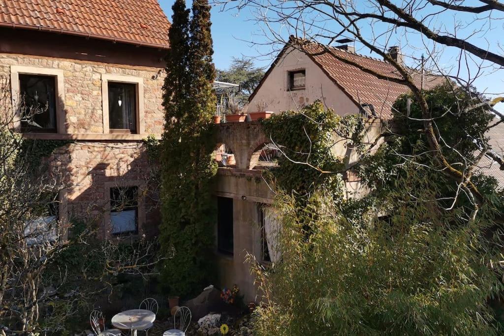 "Casita Linda "Am Donnersberg Villa Dannenfels Exterior photo