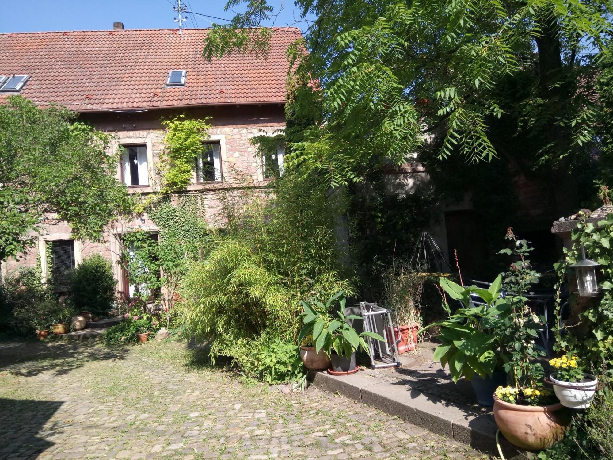 "Casita Linda "Am Donnersberg Villa Dannenfels Exterior photo